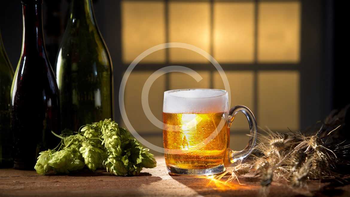 Brewery Certification Is Your Way to Understanding Beer