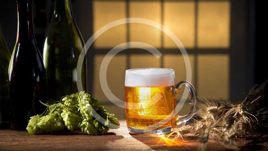 Brewery Certification Is Your Way to Understanding Beer